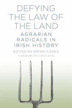 Defying the Law of the Land (eBook, ePUB) - Casey, Brian