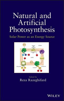 Natural and Artificial Photosynthesis (eBook, ePUB) - Razeghifard, Reza