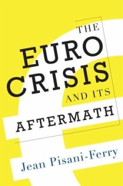 The Euro Crisis and Its Aftermath - Pisani-Ferry, Jean