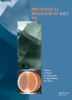Cover Mechanical Behaviour of Salt VII (eBook, PDF)