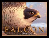 Falcon (eBook, ePUB)