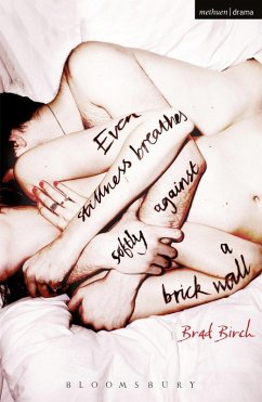 Even Stillness Breathes Softly Against a Brick Wall (eBook, ePUB) - Birch, Brad