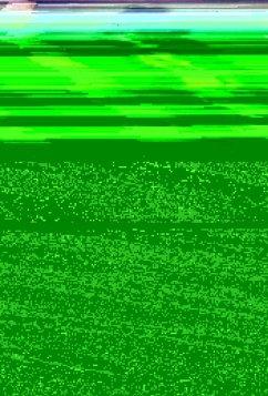 Cover Mr Darcy Likes It Wild (eBook, ePUB)