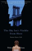 The Sky Isn't Visible from Here (eBook, ePUB)