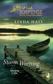 Storm Warning (eBook, ePUB)