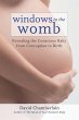 Windows to the Womb (eBook, ePUB) - Bild 1