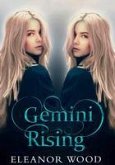 Gemini Rising (eBook, ePUB)
