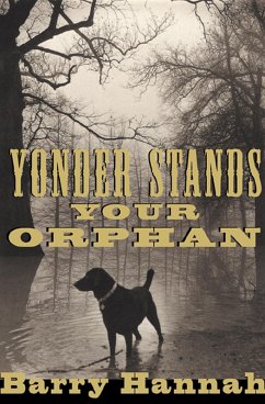 Cover Yonder Stands Your Orphan (eBook, ePUB)