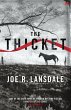The Thicket (eBook, ePUB) - Bild 1