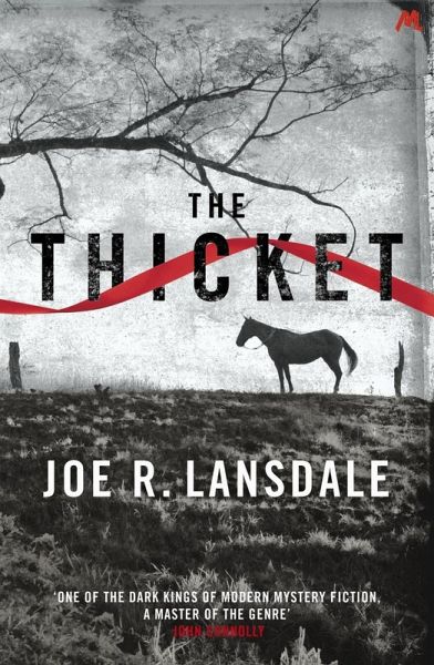 The Thicket (eBook, ePUB) The Thicket (eBook, ePUB)