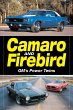 Camaro & Firebird - GM's Power Twins... - Bild 1