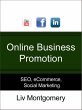 Online Business Promotion (eBook, ePUB) - Bild 1