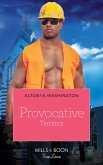 Provocative Territory (Kimani Hotties, Book 38) (eBook, ePUB)