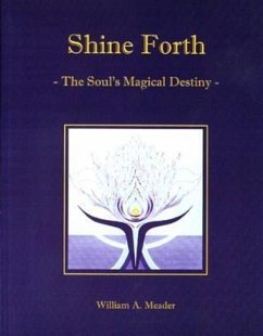 Shine Forth (eBook, ePUB) - Meader, William A.