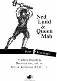 Ned Ludd & Queen Mab (eBook, ePUB)