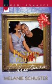 Picture Perfect Christmas (The Deverauxs, Book 1) (eBook, ePUB)