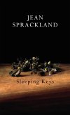 Sleeping Keys (eBook, ePUB)