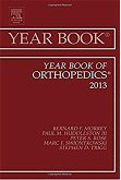 Year Book of Orthopedics 2013 (eBook, ePUB)