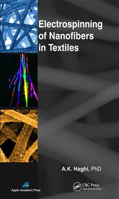 Electrospinning of Nanofibers in Textiles (eBook, PDF)