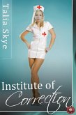 Institute of Correction (eBook, PDF)