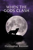 When The Gods Clash (eBook, ePUB)