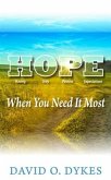 Hope When You Need It Most (eBook, ePUB)