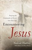 Encountering Jesus (eBook, ePUB)