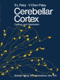 Cerebellar Cortex