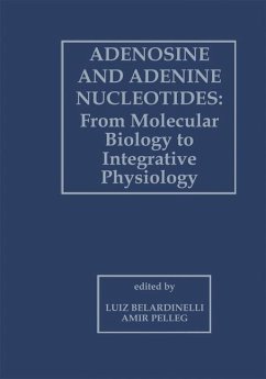 Adenosine and Adenine Nucleotides: From Molecular Biology to Integrative Physiology