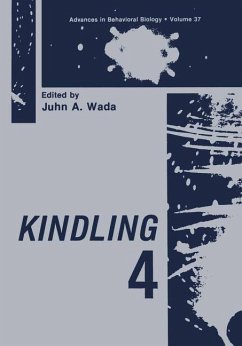 Kindling 4