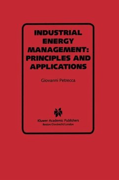 Industrial Energy Management: Principles and Applications - Petrecca, Giovanni