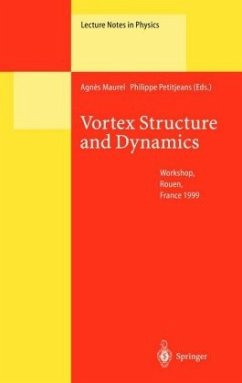 Vortex Structure and Dynamics