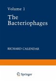 The Bacteriophages