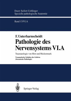 Pathologie des Nervensystems VI.A - Unterharnscheidt, Friedrich;Doerr, W.;Seifert, G.