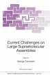Current Challenges on Large... - Bild 1