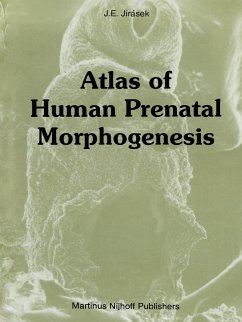 Atlas of Human Prenatal Morphogenesis - Jirásek, J. E.