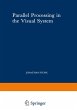 Parallel Processing in the Visual System - Bild 1