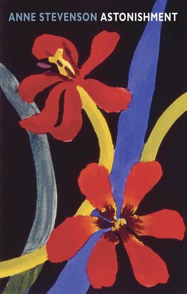 Astonishment (eBook, ePUB)