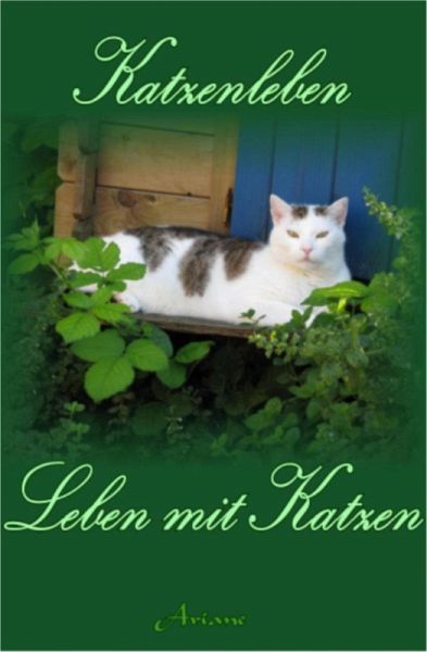 Katzenleben (eBook, ePUB)