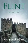 Flint (eBook, ePUB)