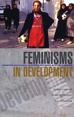 Cover Feminisms in Development (eBook, PDF)
