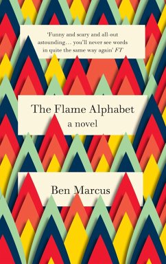 Cover Flame Alphabet (eBook, ePUB)