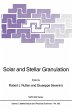 Solar and Stellar Granulation - Bild 1