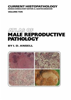 Atlas of Male Reproductive Pathology - Ansell, I. D.