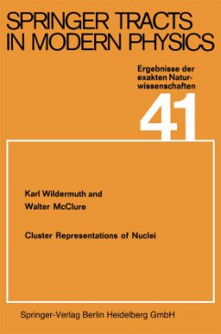 Cluster Representations of Nuclei - Wildermuth, K.;McClure, W.