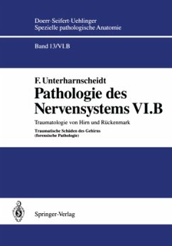 Pathologie des Nervensystems VI.B - Unterharnscheidt, Friedrich