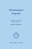 Phenomenological Perspectives