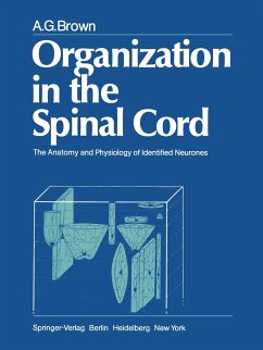 Organization in the Spinal Cord - Brown, A. G.