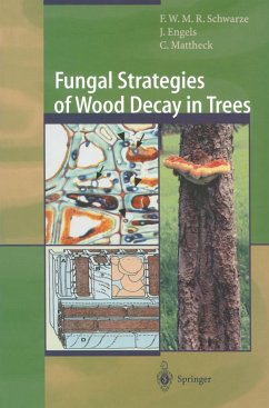 Fungal Strategies of Wood Decay in Trees - Schwarze, Francis W.M.R.;Engels, Julia;Mattheck, Claus