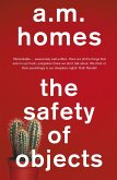 Safety Of Objects (eBook, ePUB)